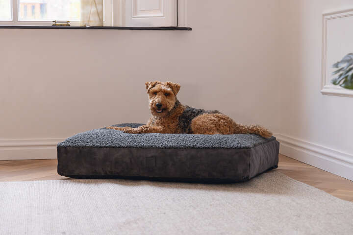 Designed by Lotte Hundekissen Yndis